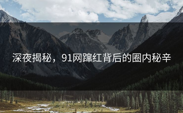 深夜揭秘，91网蹿红背后的圈内秘辛