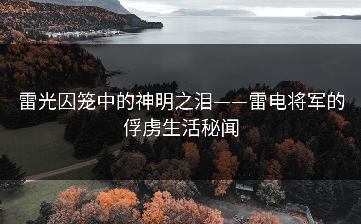 雷光囚笼中的神明之泪——雷电将军的俘虏生活秘闻