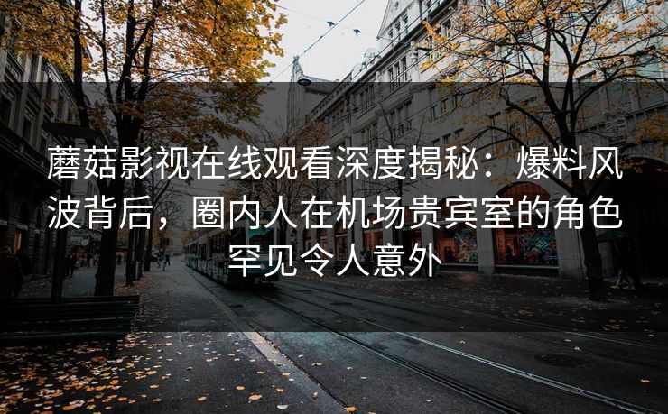 蘑菇影视在线观看深度揭秘：爆料风波背后，圈内人在机场贵宾室的角色罕见令人意外