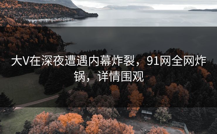 大V在深夜遭遇内幕炸裂，91网全网炸锅，详情围观