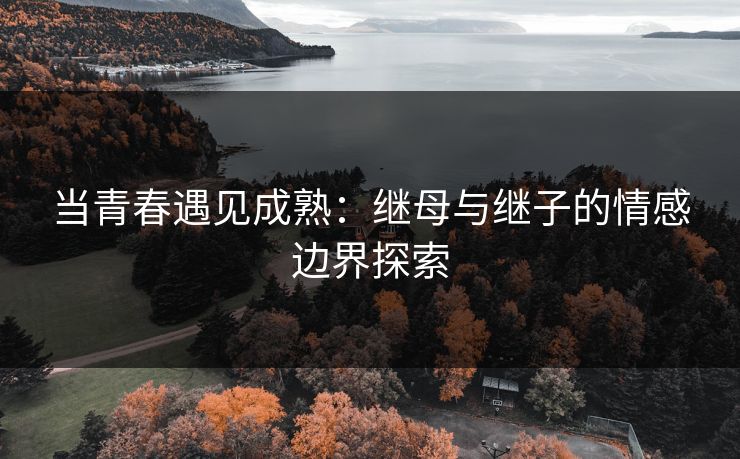 当青春遇见成熟：继母与继子的情感边界探索