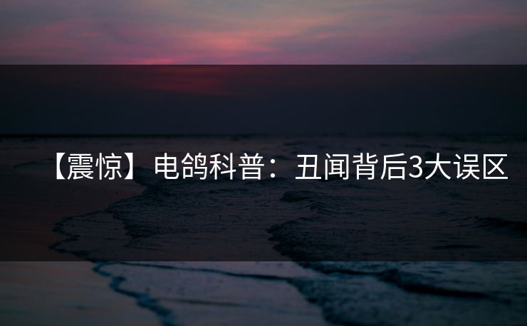 【震惊】电鸽科普：丑闻背后3大误区