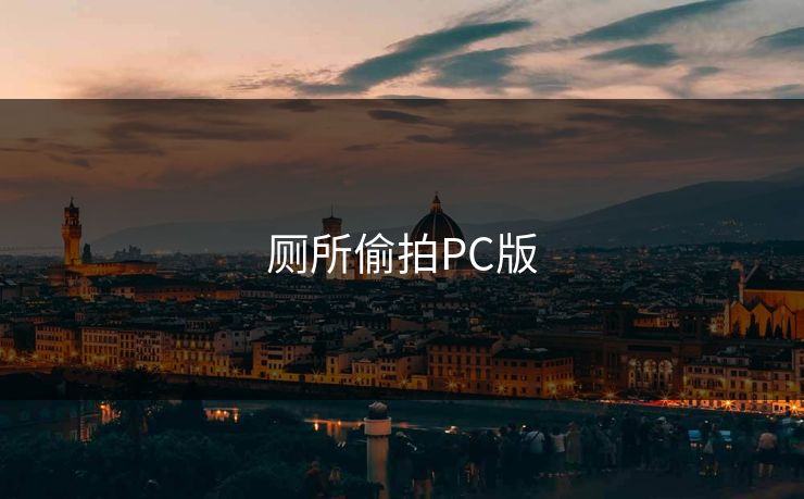 厕所偷拍PC版